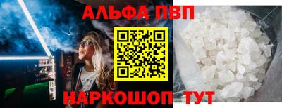дживик Кингисепп