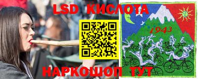 дживик Кингисепп