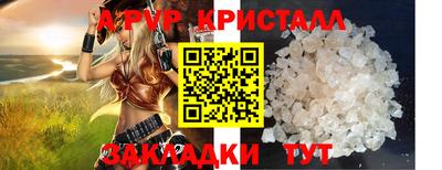 дживик Кингисепп