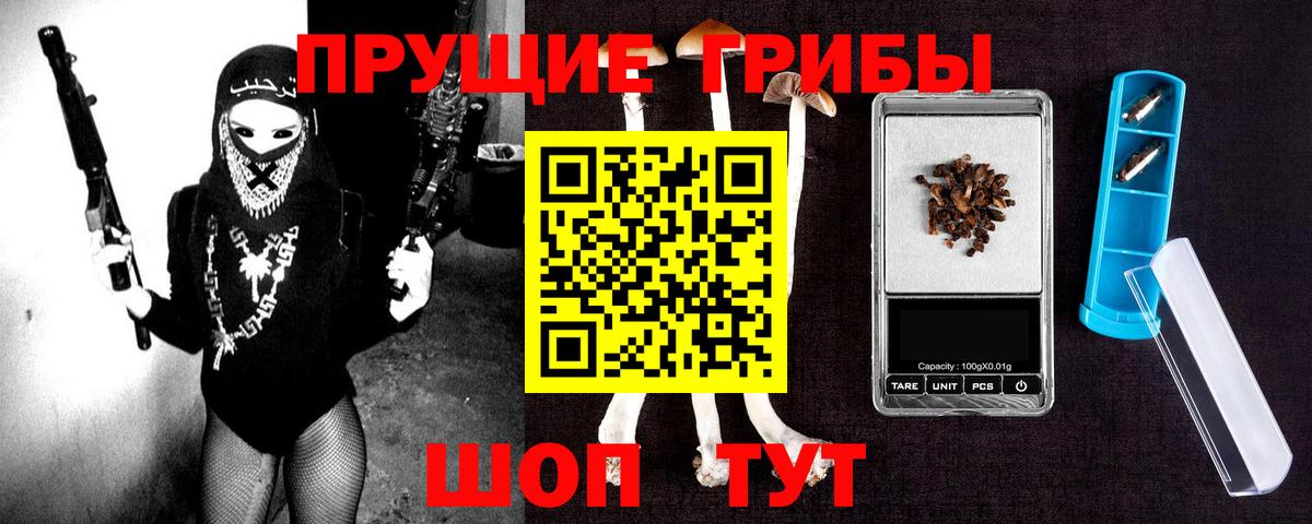 Псилоцибиновые грибы мицелий Комсомольск-на-Амуре