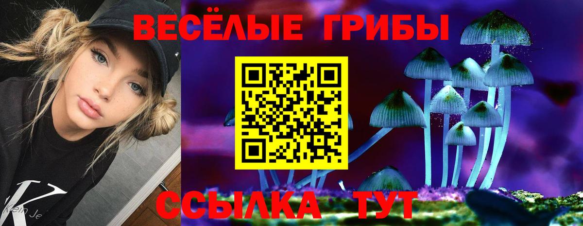Комсомольск-на-Амуре  купить закладку  Вход с VPN  Галлюциногенные грибы Psilocybe  Галлюциногенные грибы Cubensis 